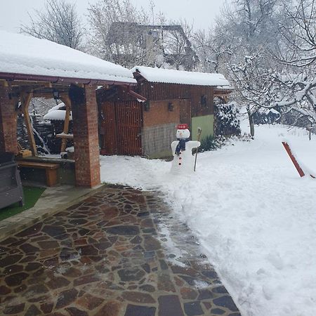 Casa Mea De Vacanta Baia-Sprie Exteriér fotografie