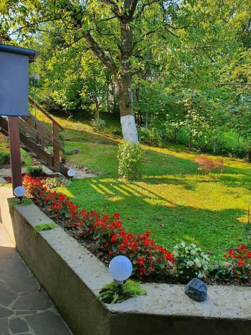 Casa Mea De Vacanta Baia-Sprie Exteriér fotografie