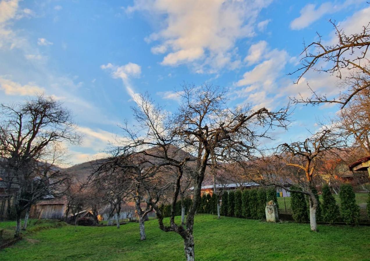 Casa Mea De Vacanta Baia-Sprie Exteriér fotografie