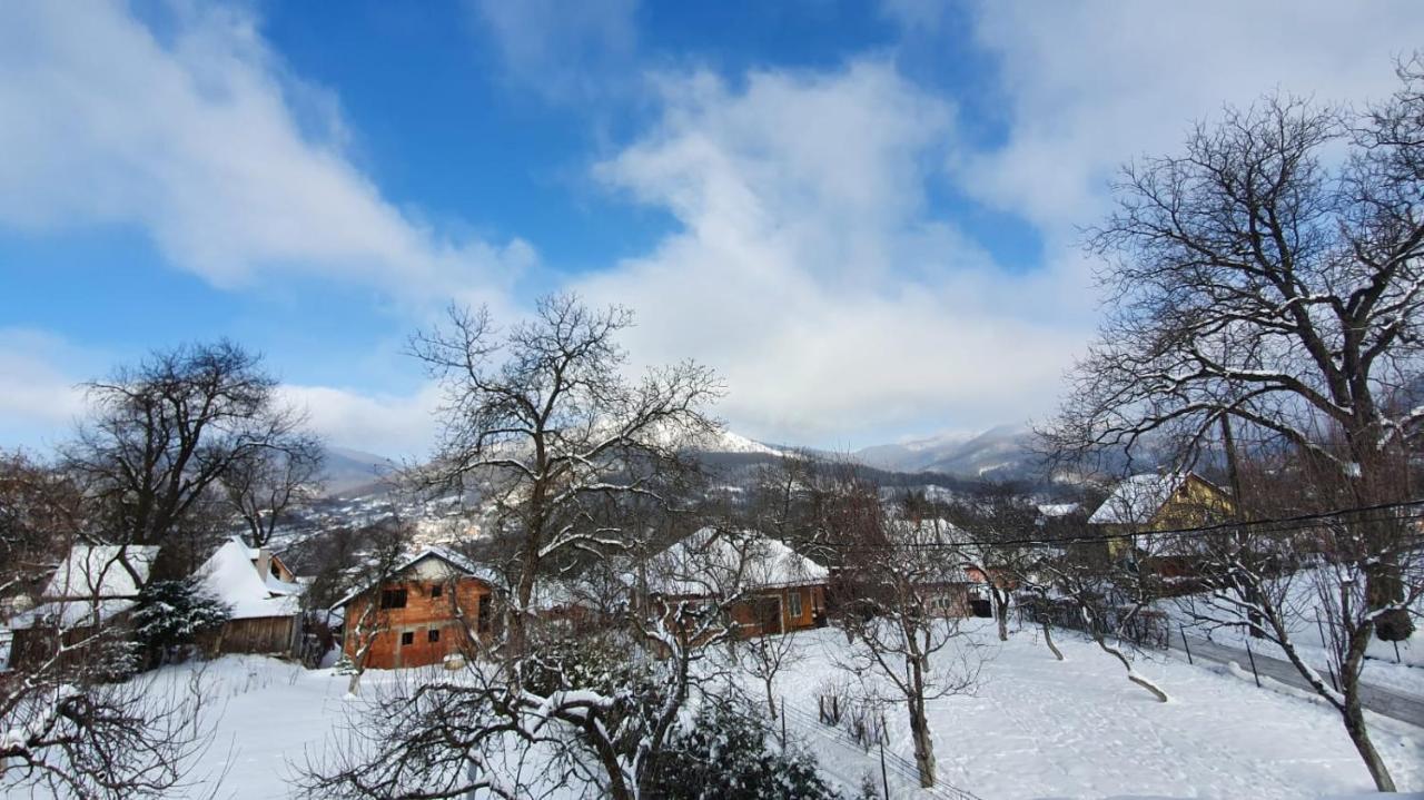 Casa Mea De Vacanta Baia-Sprie Exteriér fotografie