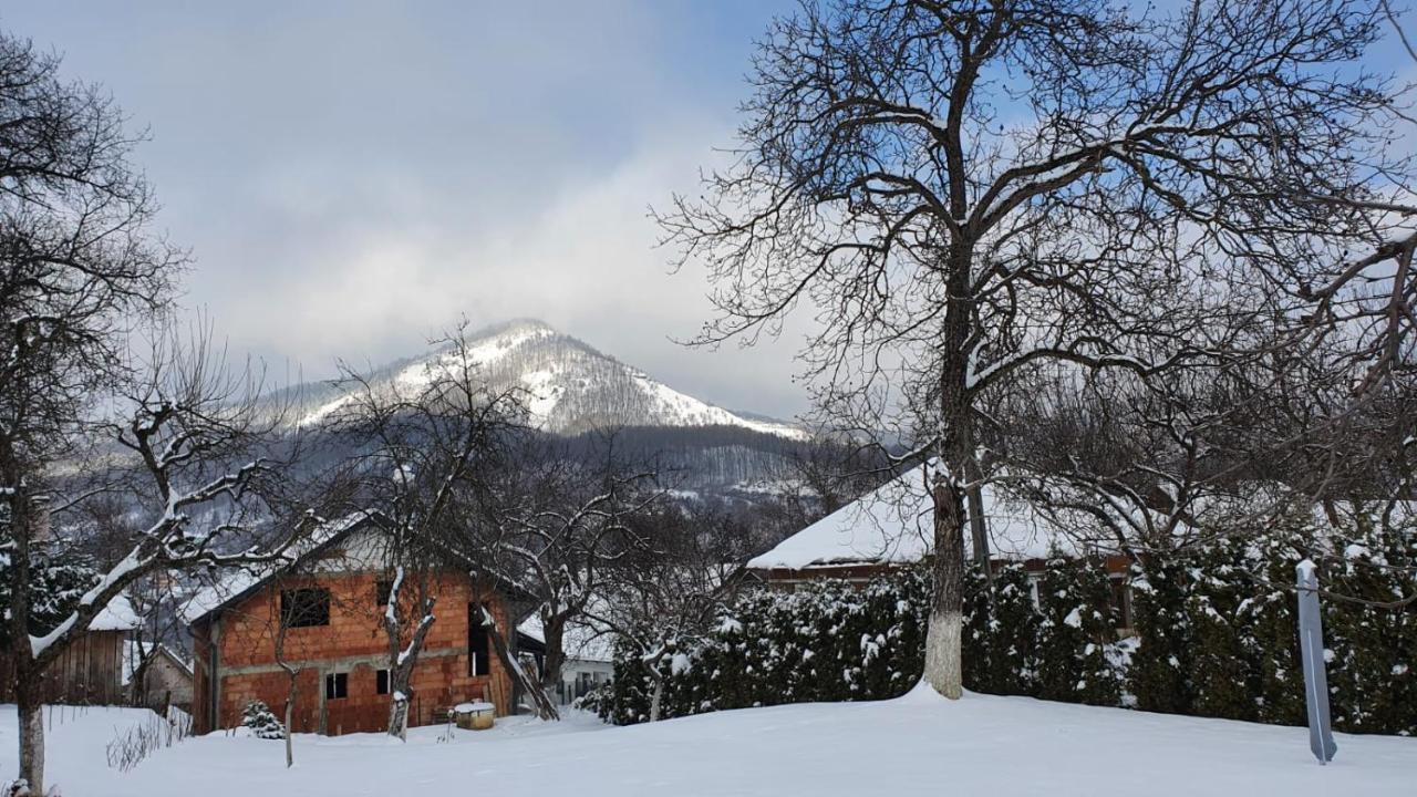 Casa Mea De Vacanta Baia-Sprie Exteriér fotografie