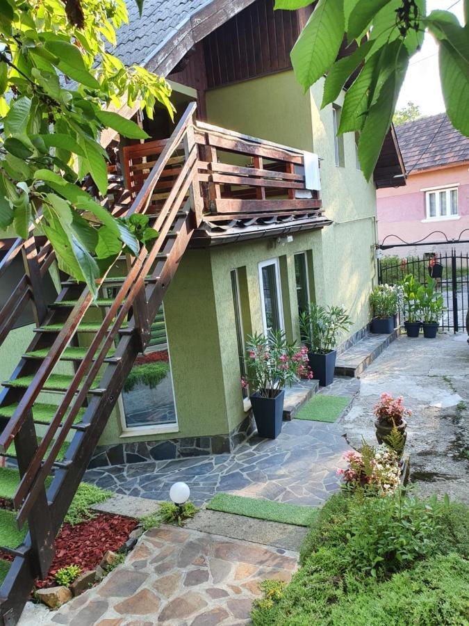Casa Mea De Vacanta Baia-Sprie Exteriér fotografie
