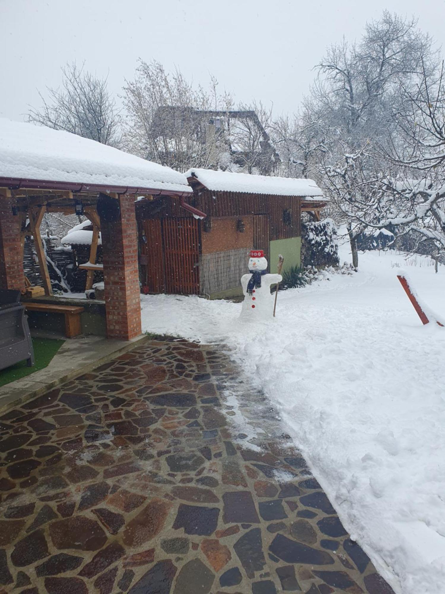 Casa Mea De Vacanta Baia-Sprie Exteriér fotografie